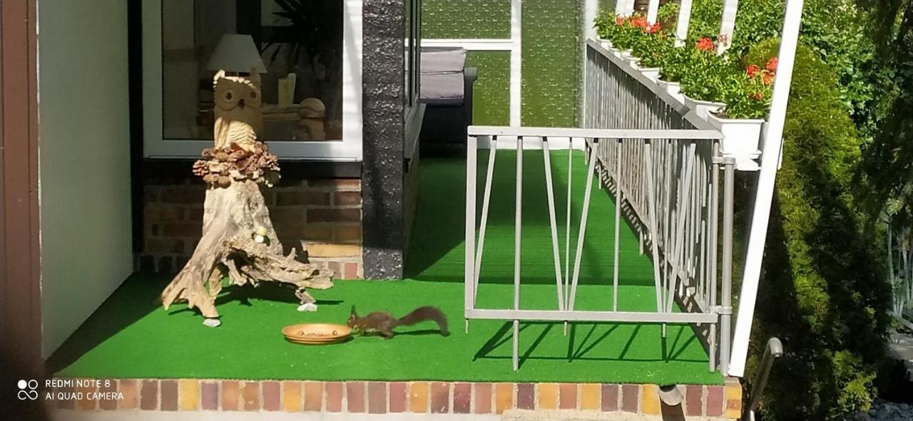 Ferienhaus Giesela **** ヴェルニゲローデ エクステリア 写真